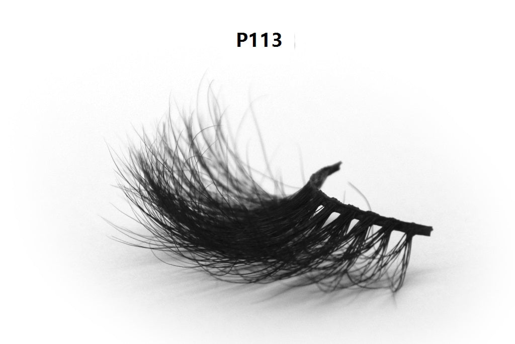 P113