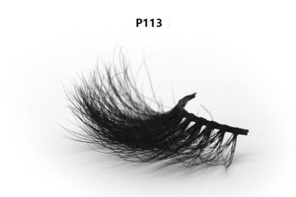 P113